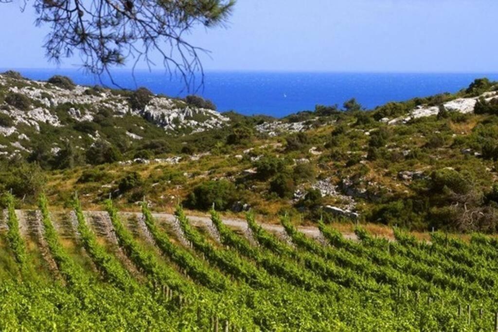 Entre Mer Et Garrigue Saint-Pierre-la-Mer  Buitenkant foto